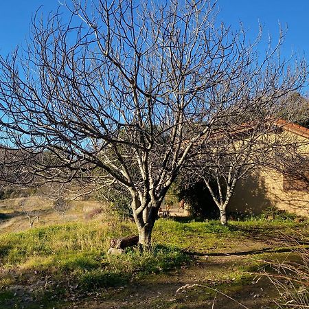 Vergel San Pedro Торременга Экстерьер фото